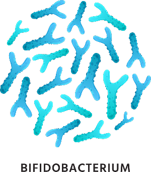 生物病毒微生物细菌病菌流感杆菌细泡组织