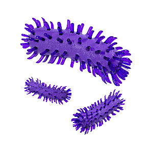 生物病毒微生物细菌病菌流感杆菌细泡组织