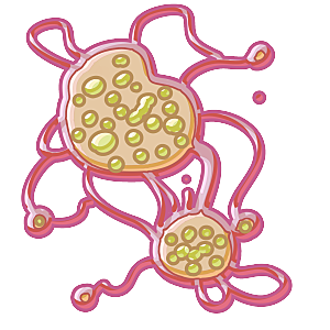 生物病毒微生物细菌病菌流感杆菌细泡组织