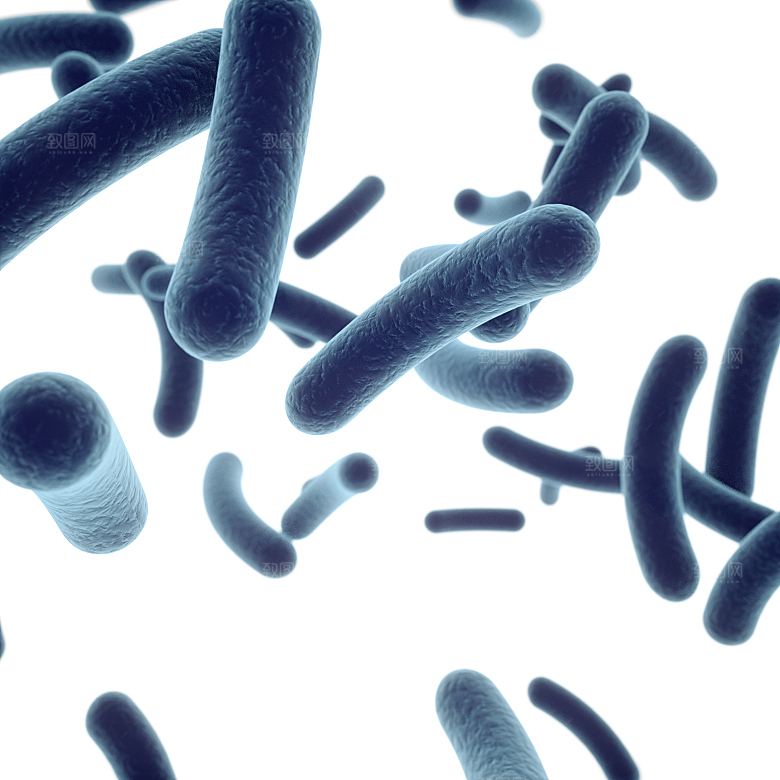 生物病毒微生物细菌病菌流感杆菌细泡组织