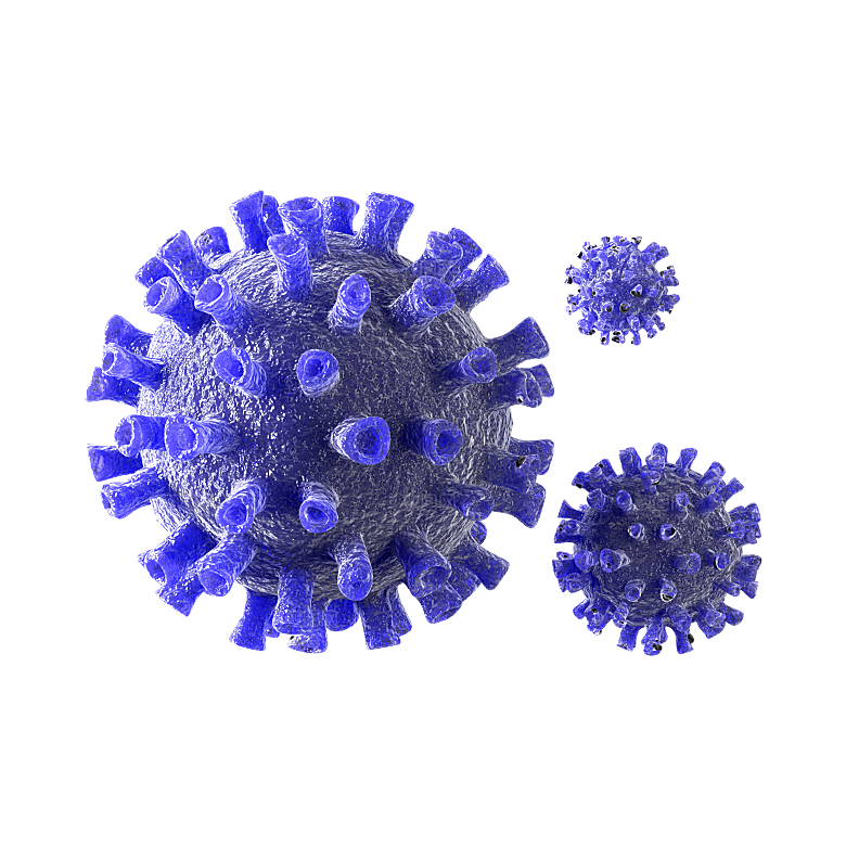 生物病毒微生物细菌病菌流感杆菌细泡组织