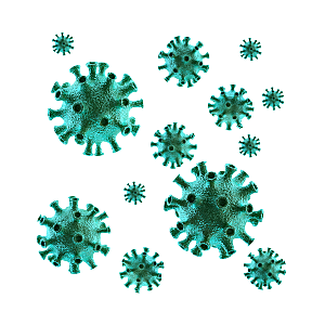 生物病毒微生物细菌病菌流感杆菌细泡组织