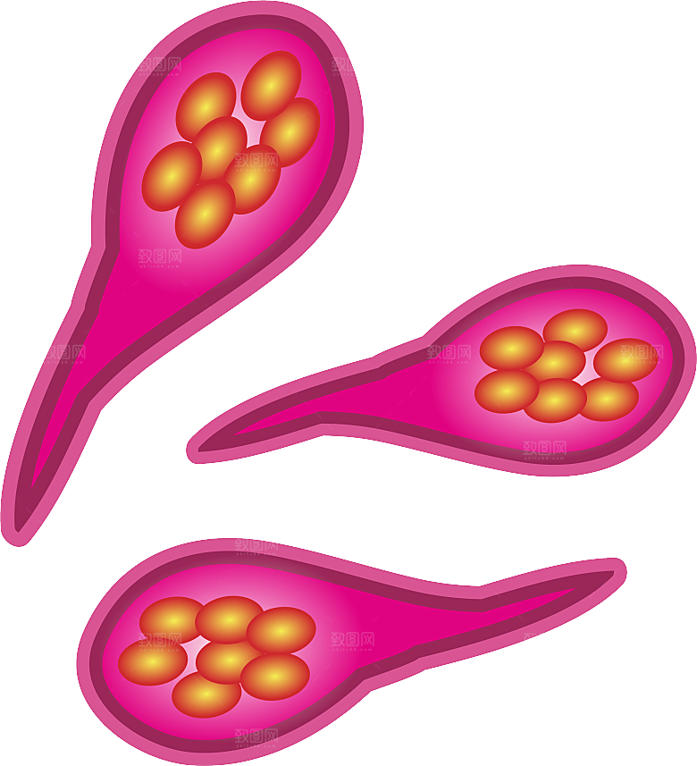 生物病毒微生物细菌病菌流感杆菌细泡组织