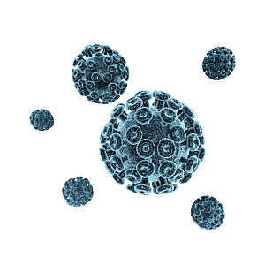 生物病毒微生物细菌病菌流感杆菌细泡