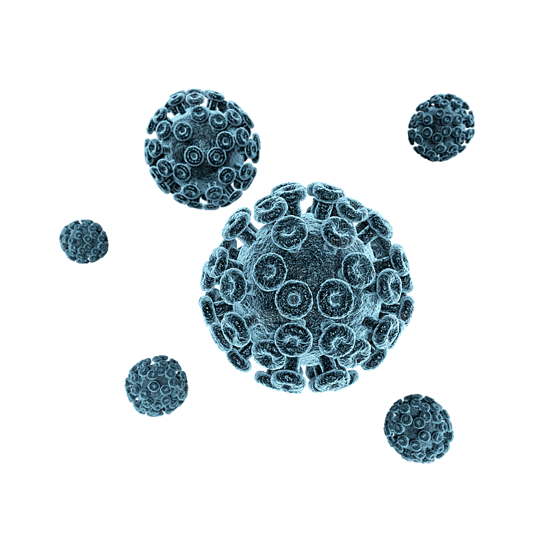 生物病毒微生物细菌病菌流感杆菌细泡