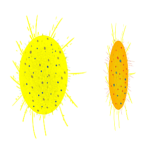 生物病毒微生物细菌病菌流感杆菌细泡