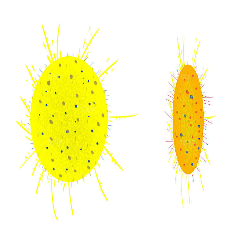 生物病毒微生物细菌病菌流感杆菌细泡