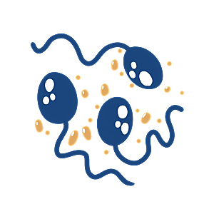 生物病毒微生物细菌病菌流感杆菌细泡组织
