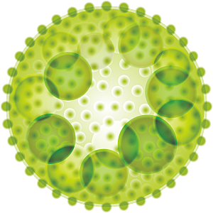 生物病毒微生物细菌病菌流感杆菌细泡组织