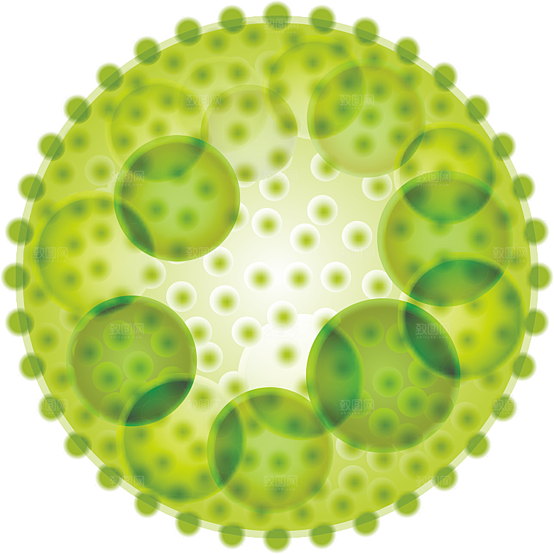 生物病毒微生物细菌病菌流感杆菌细泡组织