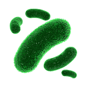 生物病毒微生物细菌病菌流感杆菌细泡