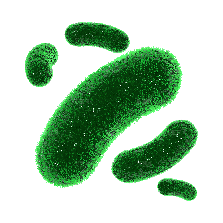生物病毒微生物细菌病菌流感杆菌细泡