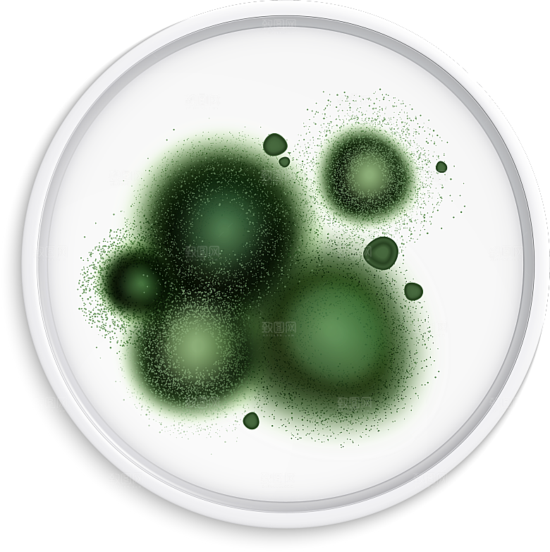 生物病毒微生物细菌病菌流感杆菌细泡