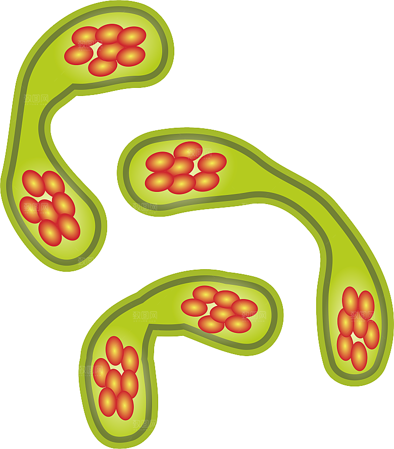 生物病毒微生物细菌病菌流感杆菌细泡