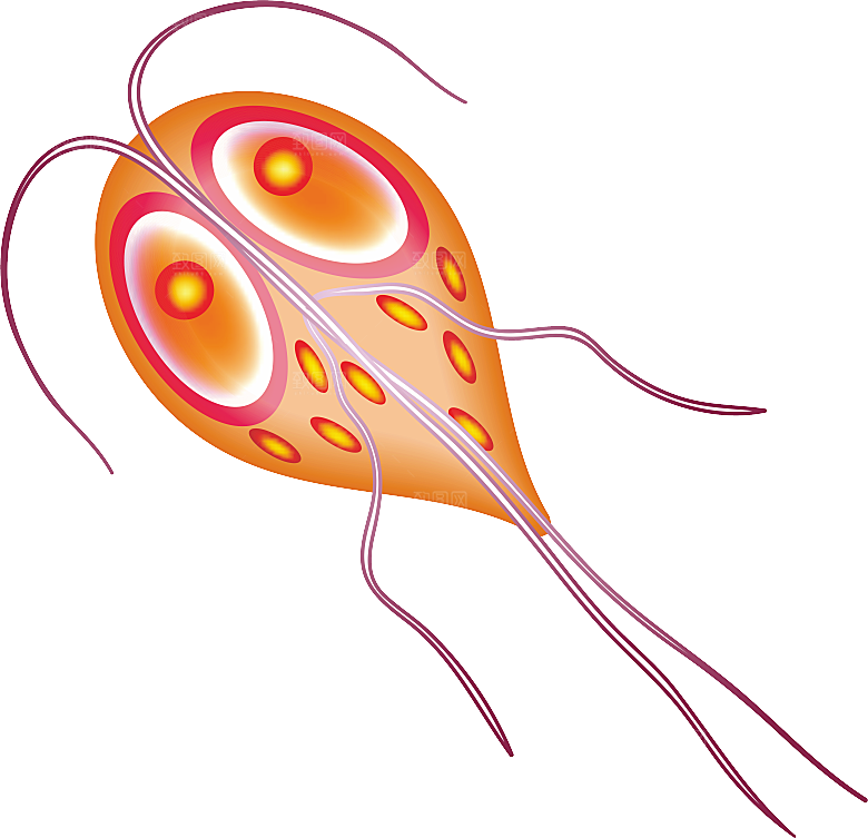 生物病毒微生物细菌病菌流感杆菌细泡组织