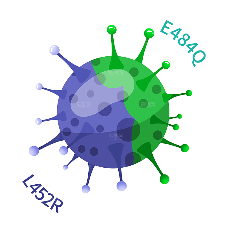生物病毒微生物细菌病菌流感杆菌细泡组织