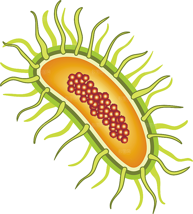 生物病毒微生物细菌病菌流感杆菌细泡组织