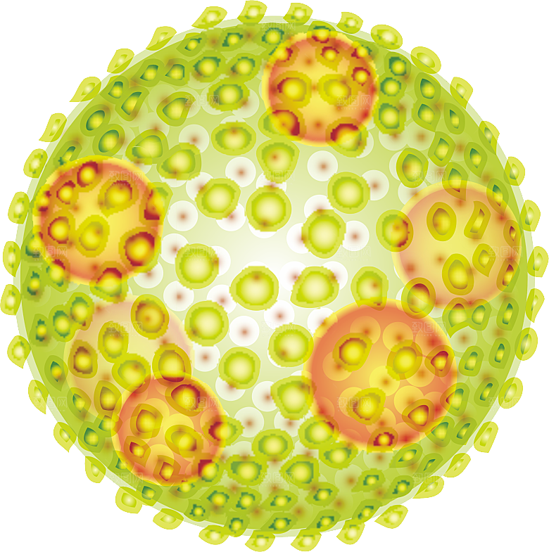 生物病毒微生物细菌病菌流感杆菌细泡组织
