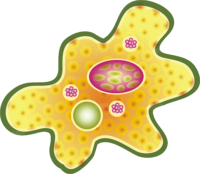 生物病毒微生物细菌病菌流感杆菌细泡