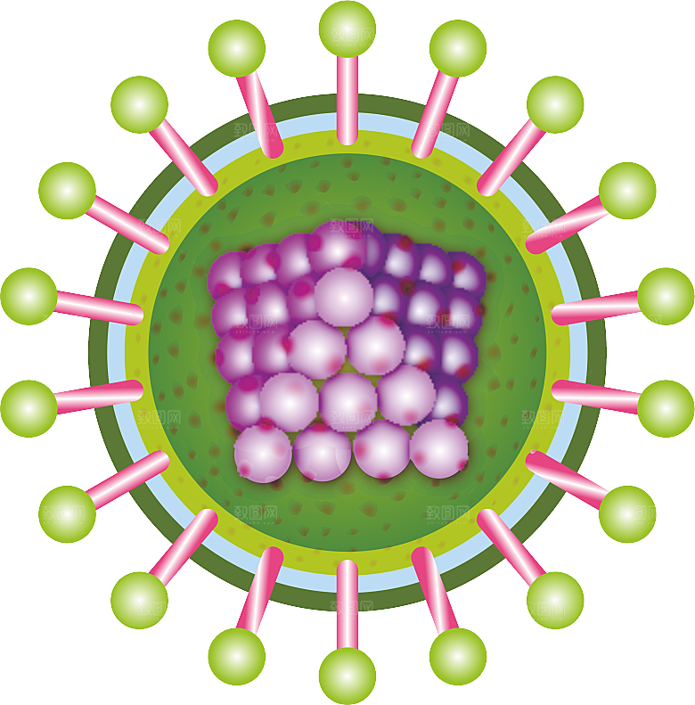 生物病毒微生物细菌病菌流感杆菌细泡