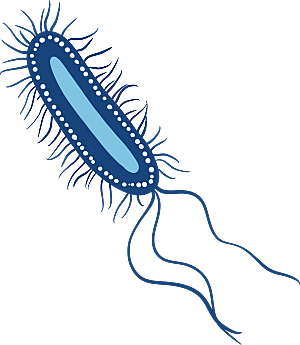 生物病毒微生物细菌病菌流感杆菌细泡组织