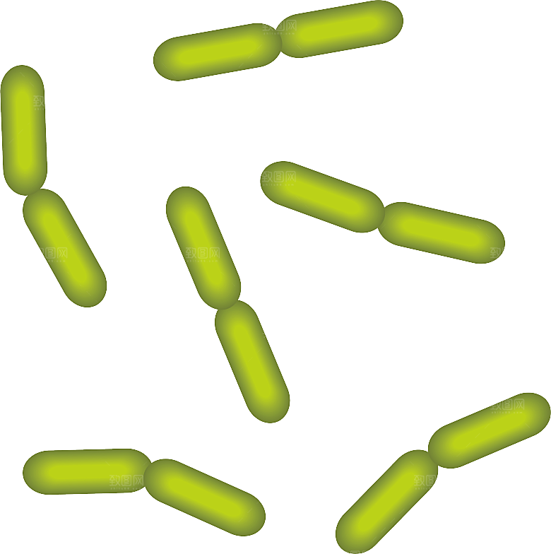 生物病毒微生物细菌病菌流感杆菌细泡组织