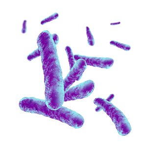 生物病毒微生物细菌病菌流感杆菌细泡组织