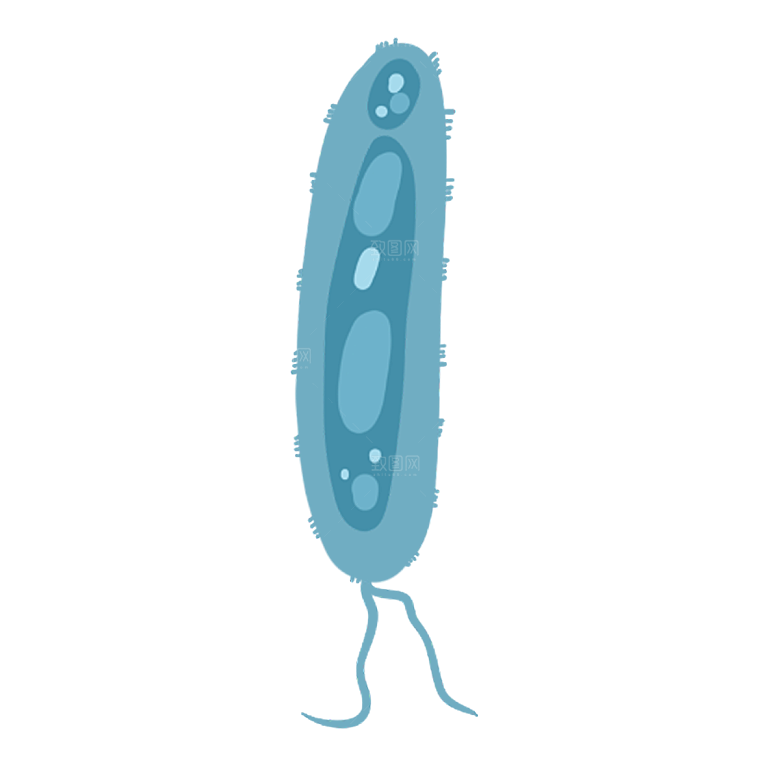 生物病毒微生物细菌病菌流感杆菌细泡