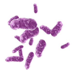 生物病毒微生物细菌病菌流感杆菌细泡