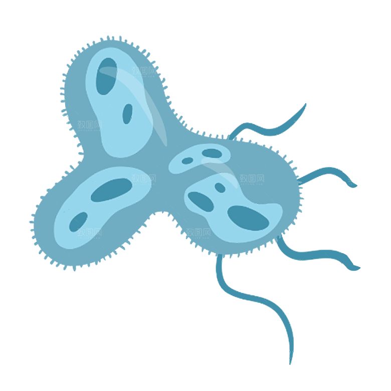 生物病毒微生物细菌病菌流感杆菌细泡