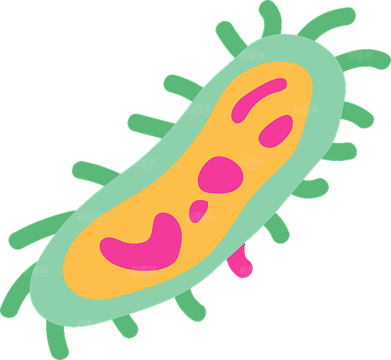 生物病毒微生物细菌病菌流感杆菌细泡