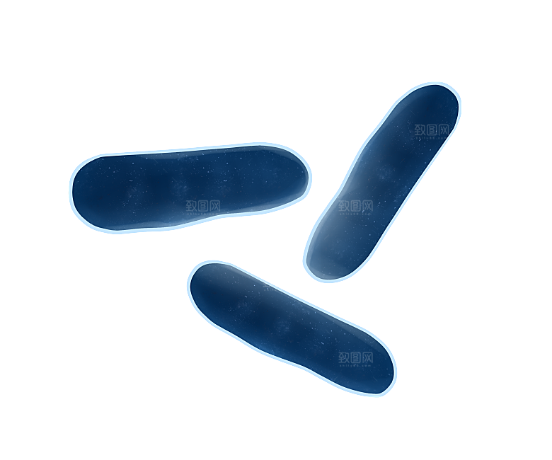生物病毒微生物细菌病菌流感杆菌细泡组织