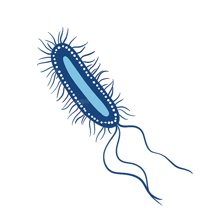 生物病毒微生物细菌病菌流感杆菌细泡组织