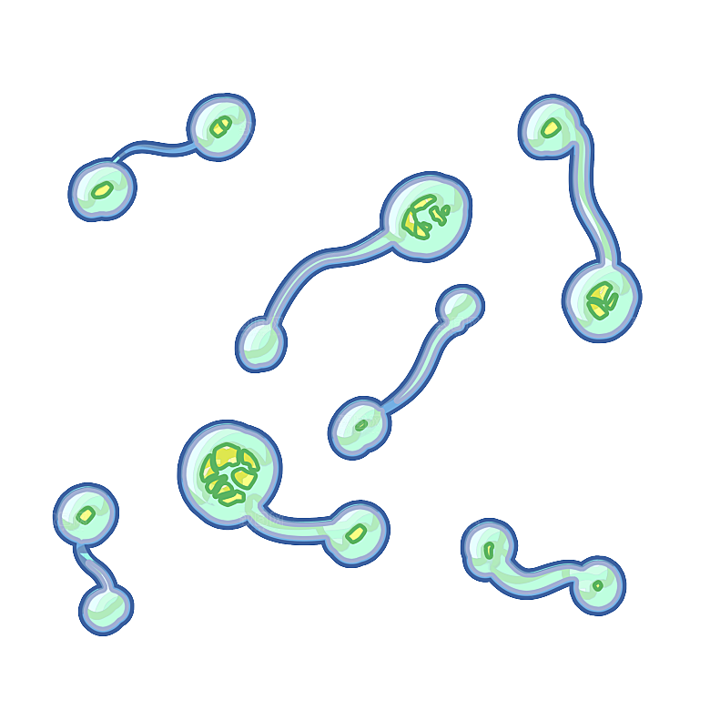 生物病毒微生物细菌病菌流感杆菌细泡
