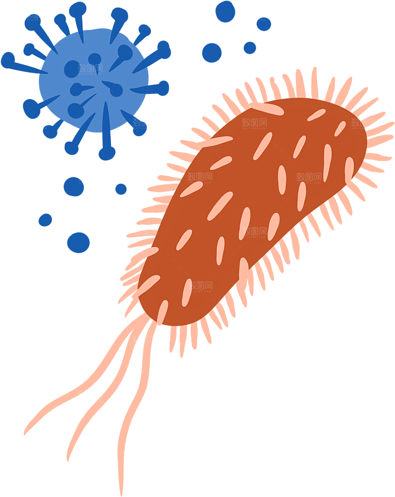 生物病毒微生物细菌病菌流感杆菌细泡组织