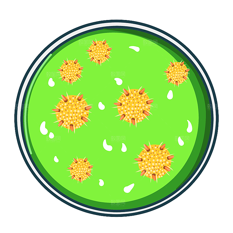 生物病毒微生物细菌病菌流感杆菌细泡
