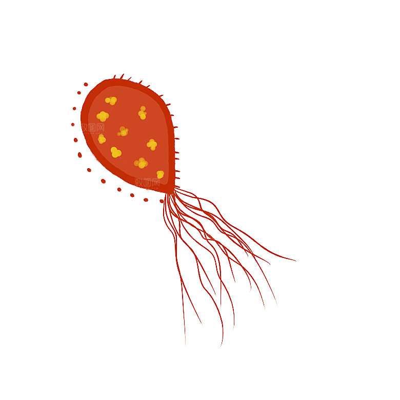 生物病毒微生物细菌病菌流感杆菌细泡组织