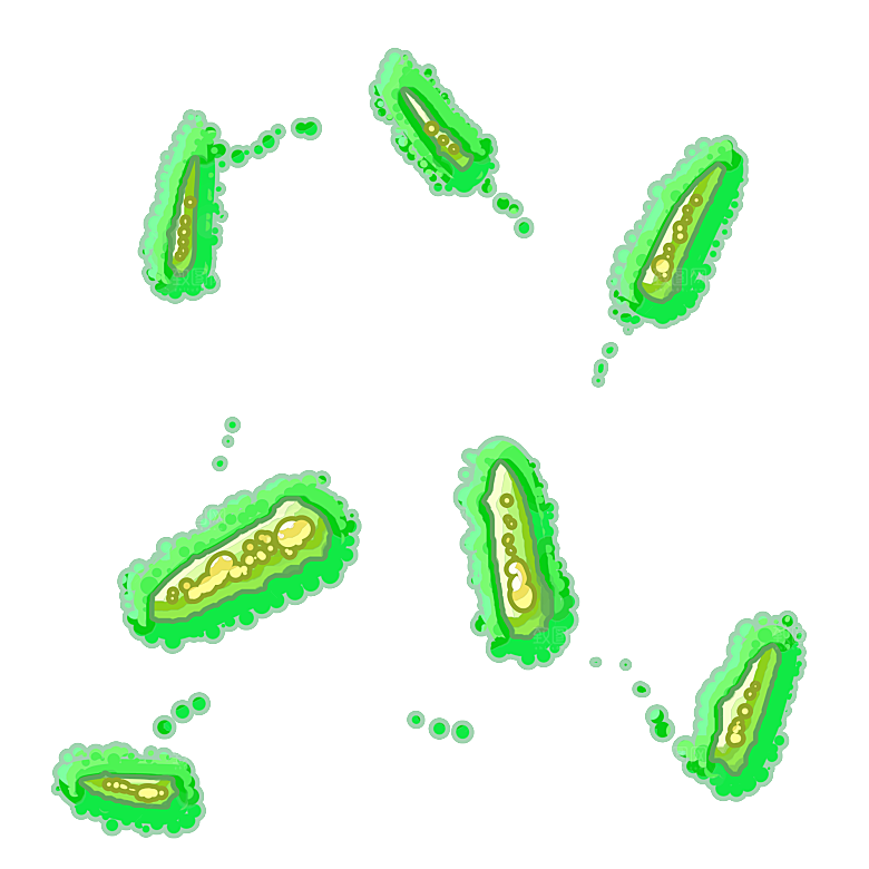 生物病毒微生物细菌病菌流感杆菌细泡组织
