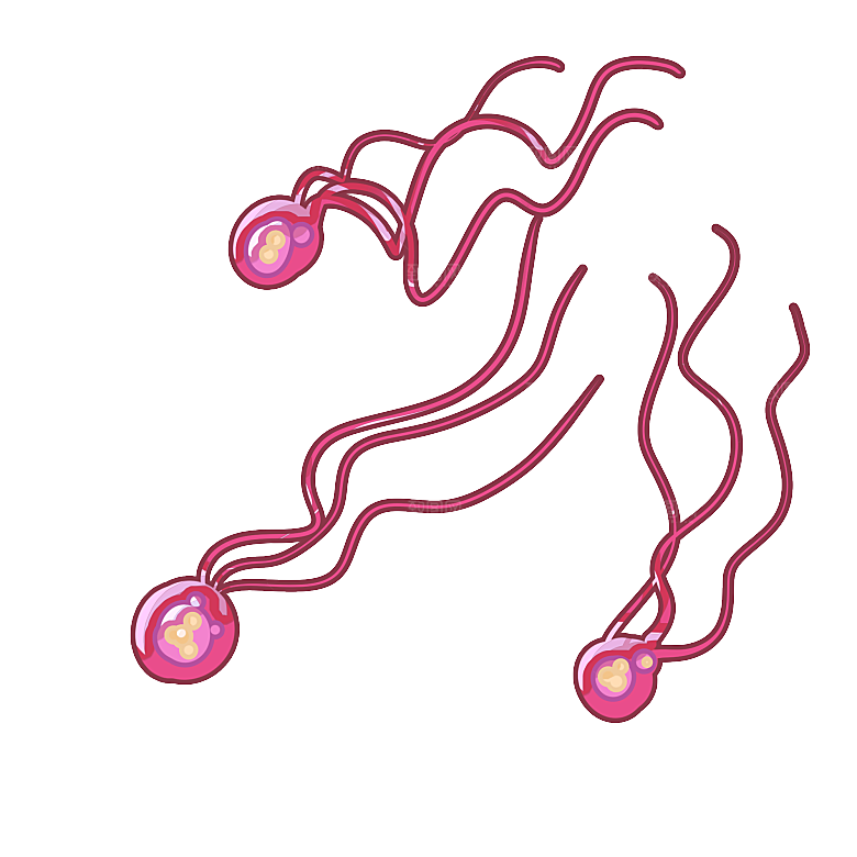 生物病毒微生物细菌病菌流感杆菌细泡组织
