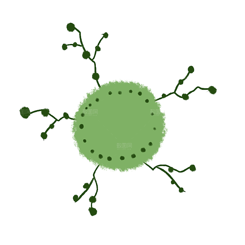 生物病毒微生物细菌病菌流感杆菌细泡组织