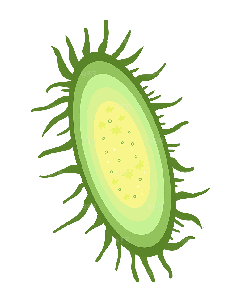 生物病毒微生物细菌病菌流感杆菌细泡组织