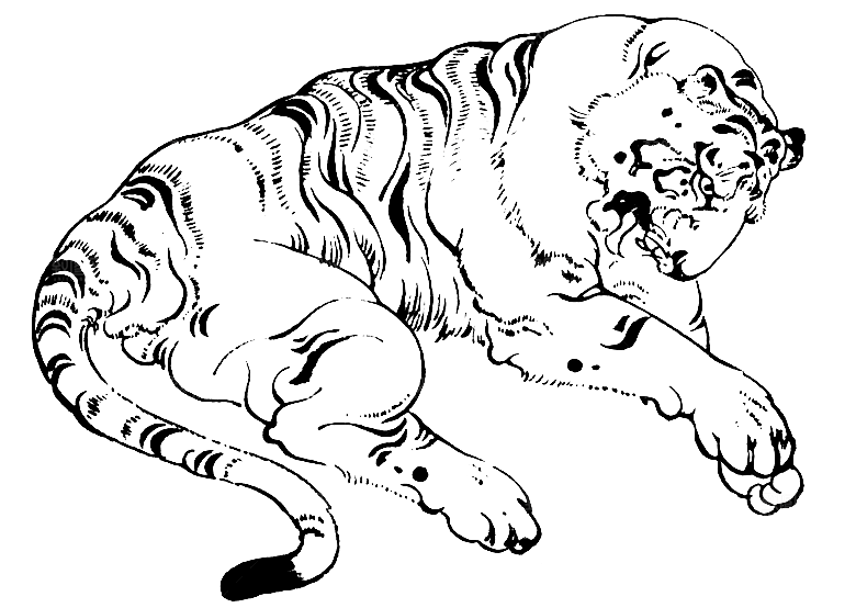 卡通水墨工笔画白描虎头老虎猛虎动物素材