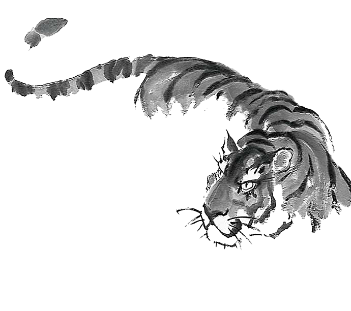 卡通水墨工笔画白描虎头老虎猛虎动物素材
