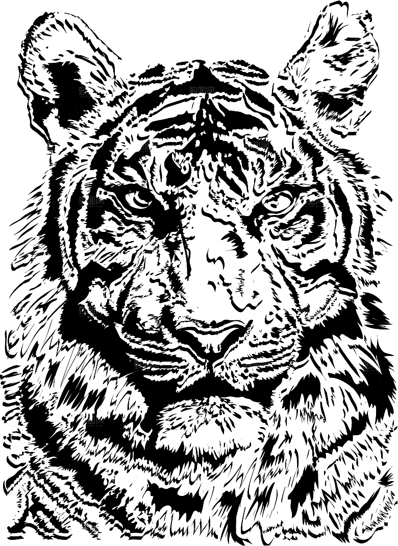 卡通水墨工笔画白描虎头老虎猛虎动物素材