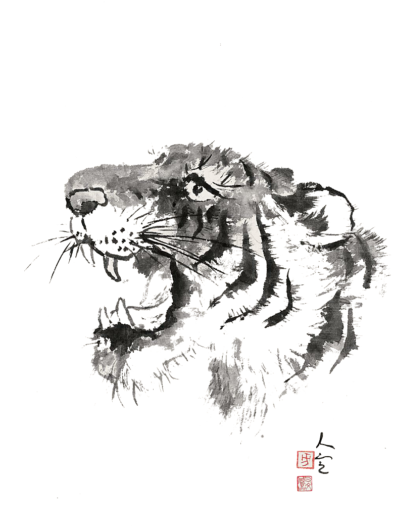 卡通水墨工笔画白描虎头老虎猛虎动物素材