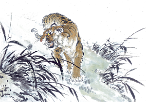 卡通水墨工笔画白描虎头老虎猛虎动物素材
