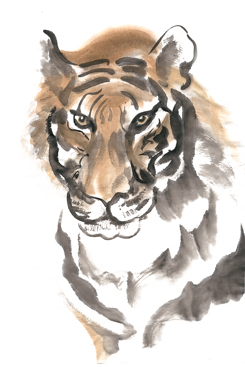 卡通水墨工笔画白描虎头老虎猛虎动物