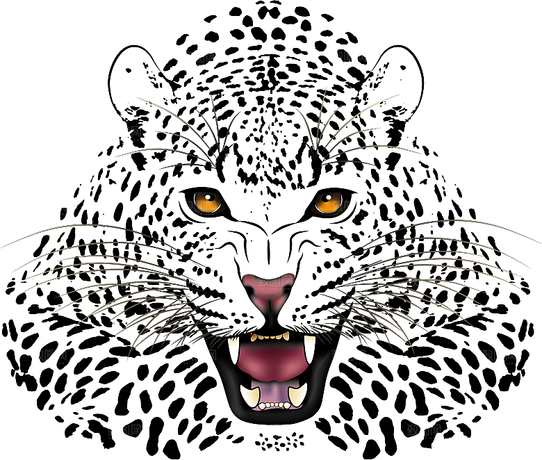 卡通水墨工笔画白描虎头老虎猛虎动物