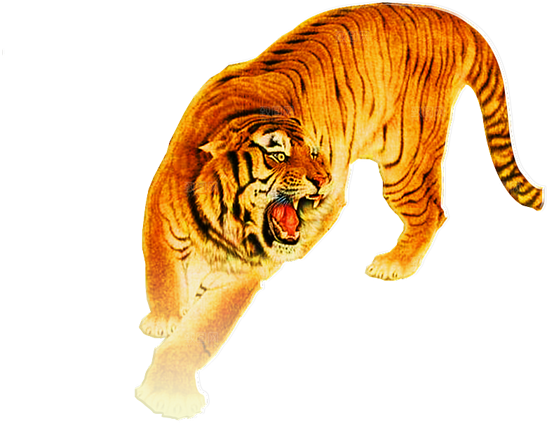 卡通水墨工笔画白描虎头老虎猛虎动物PNG