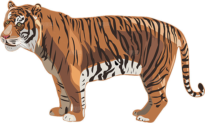 卡通水墨工笔画白描虎头老虎猛虎动物PNG